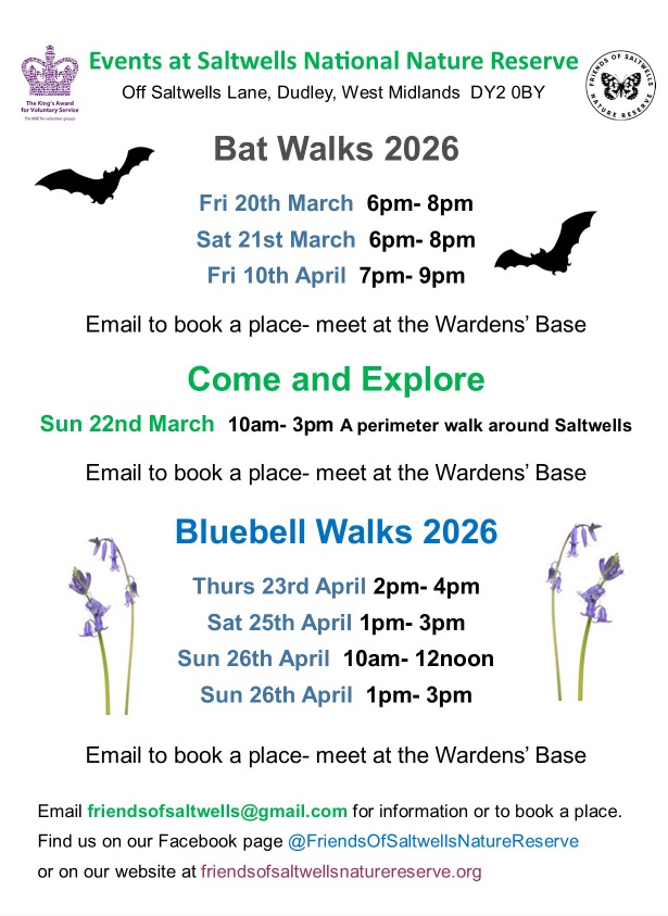Friends of Saltwells Nature Reserve - Bat Walks